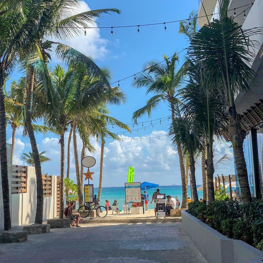 Diseño Web en Playa del Carmen